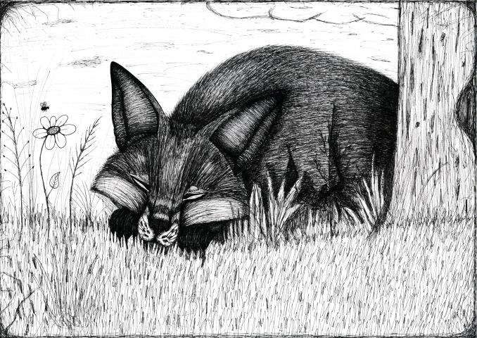 Soňa Smatanová Soňa Smatanová